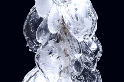 Rope Grown Lighting (Close-Up) 01