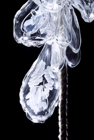 Rope Grown Lighting (Close-Up) 02