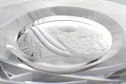 Break the Pattern Collection